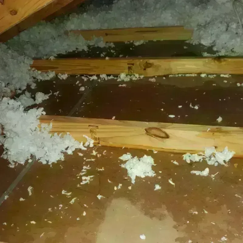 Attic Water Damage in Chickasha, OK