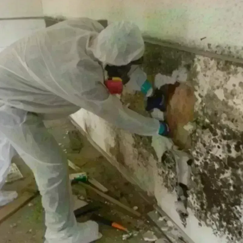 Mold Remediation and Removal in Chickasha, OK